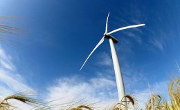 Gelişmekte Olan Ülkeler İçin Krizden Çıkış Yolu Rüzgar Enerjisi Olabilir